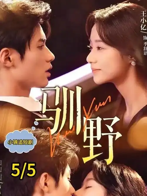 旧港风云 犯罪年代电视剧全集免费观看
